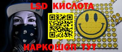 твердый Бийск